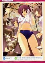 BUY NEW tasuku iizuki - 136013 Premium Anime Print Poster